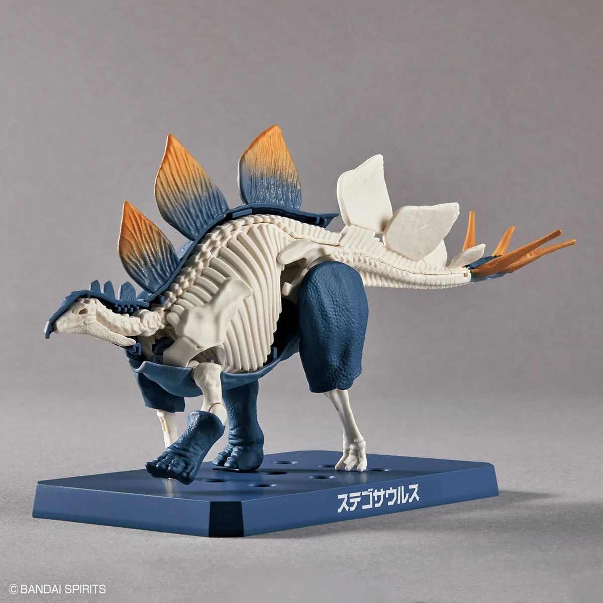 Bandai Plannosaurus 03 Stegosaurus Model Kit
