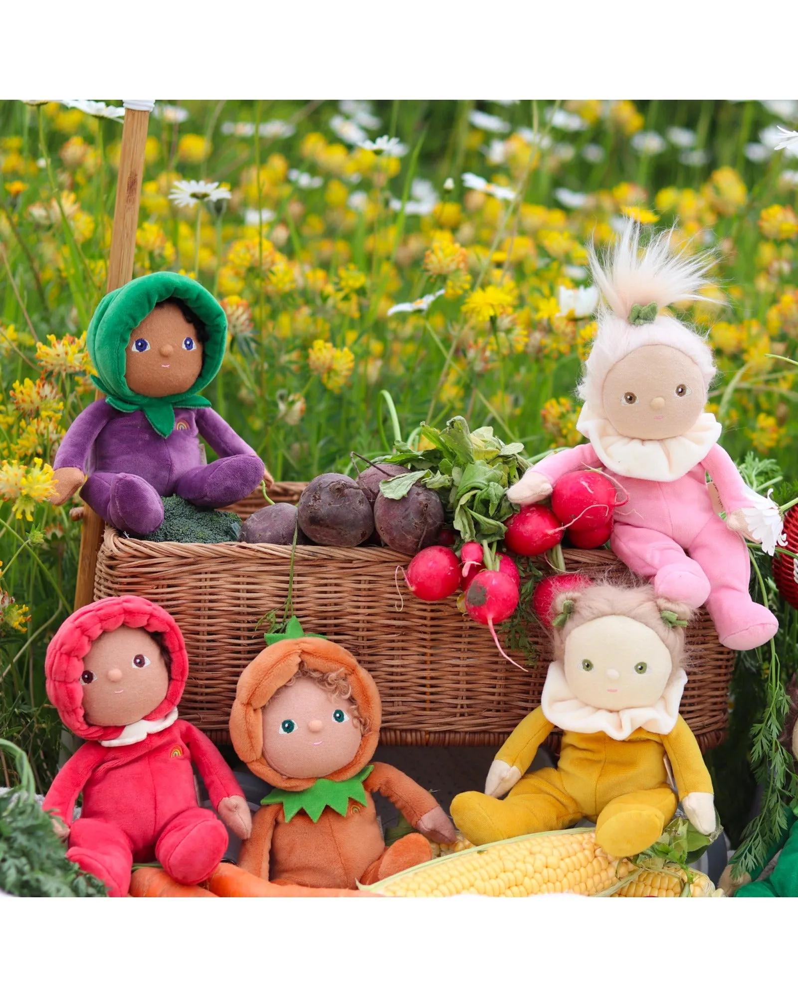 Dinky Dinkum Dolls Marley Mushroom