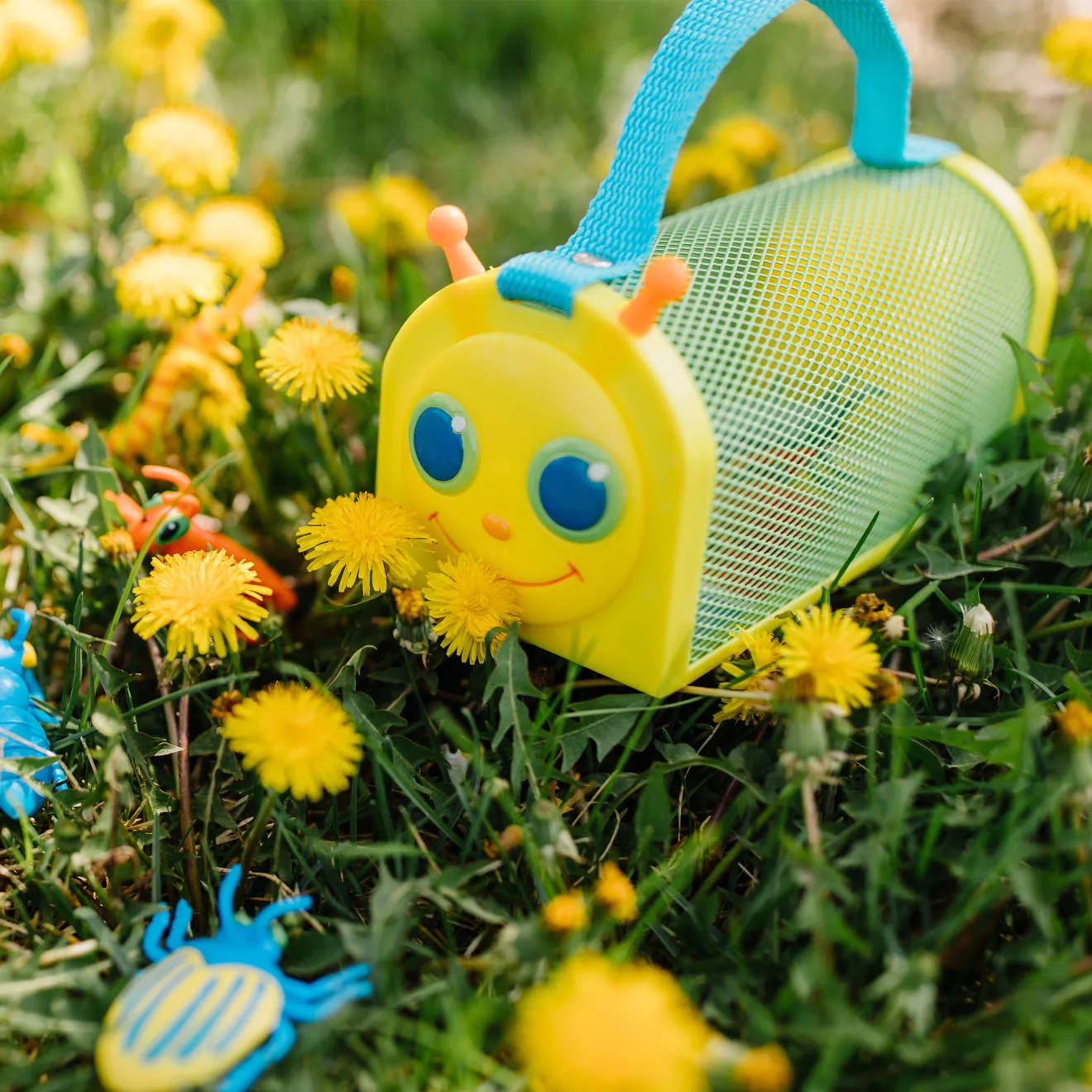 Giddy Buggy Bug House
