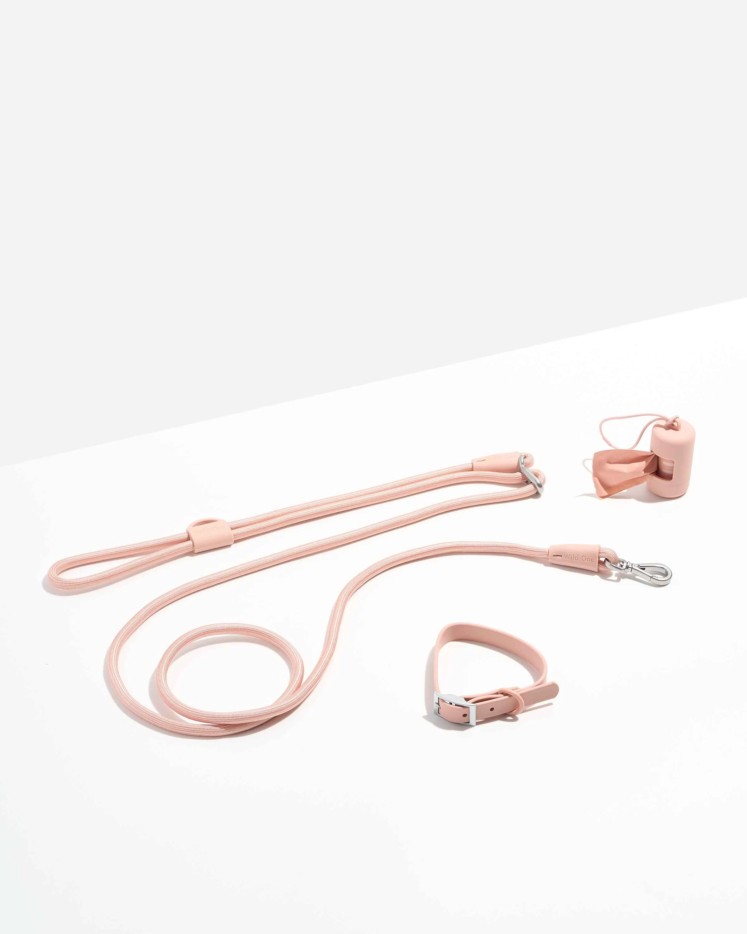 Hands-Free Collar Walk Kit
