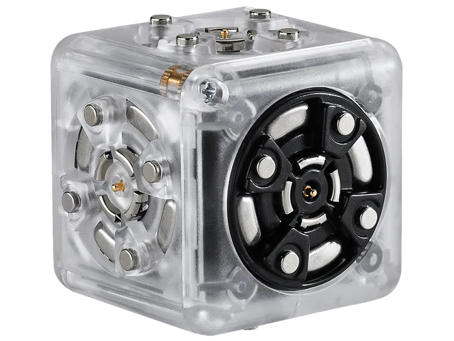 Individual Cubelets