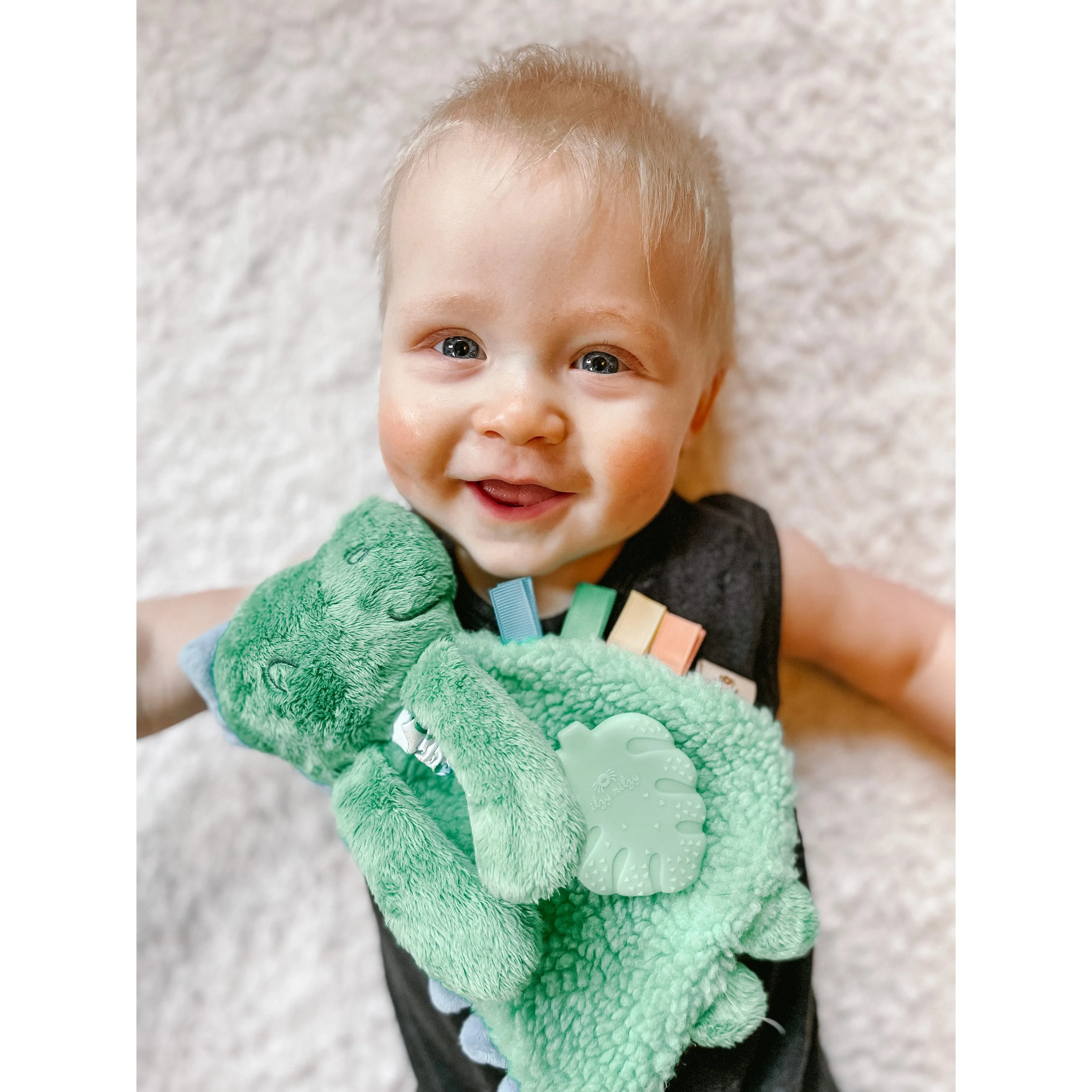 Itzy Friends Itzy Lovey™ Plush with Silicone Teether Toy - James the Dino