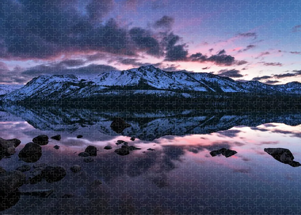 Rose Reflections by Brad Scott - Puzzle