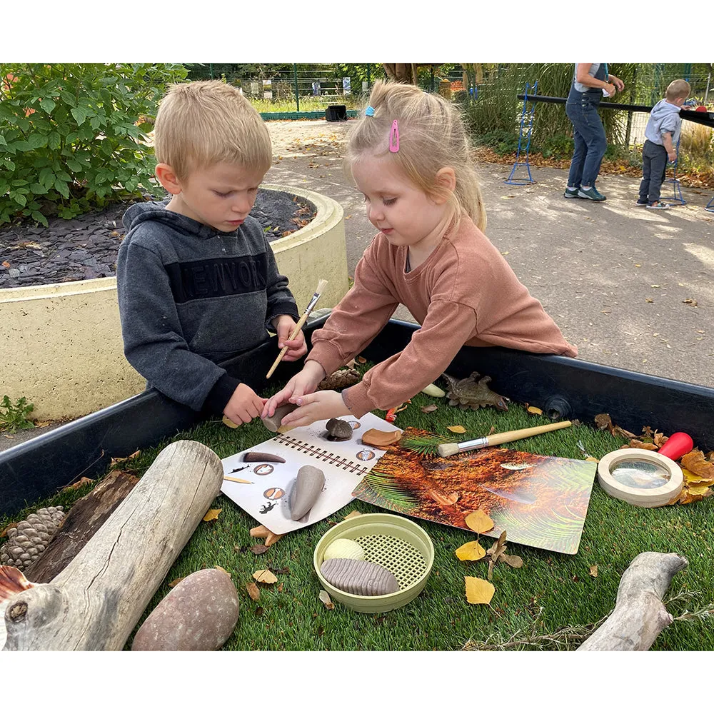 Yellow Door® Prehistoric Teeth Explore & Discover Cards