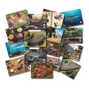 Yellow Door® Prehistoric Teeth Explore & Discover Cards