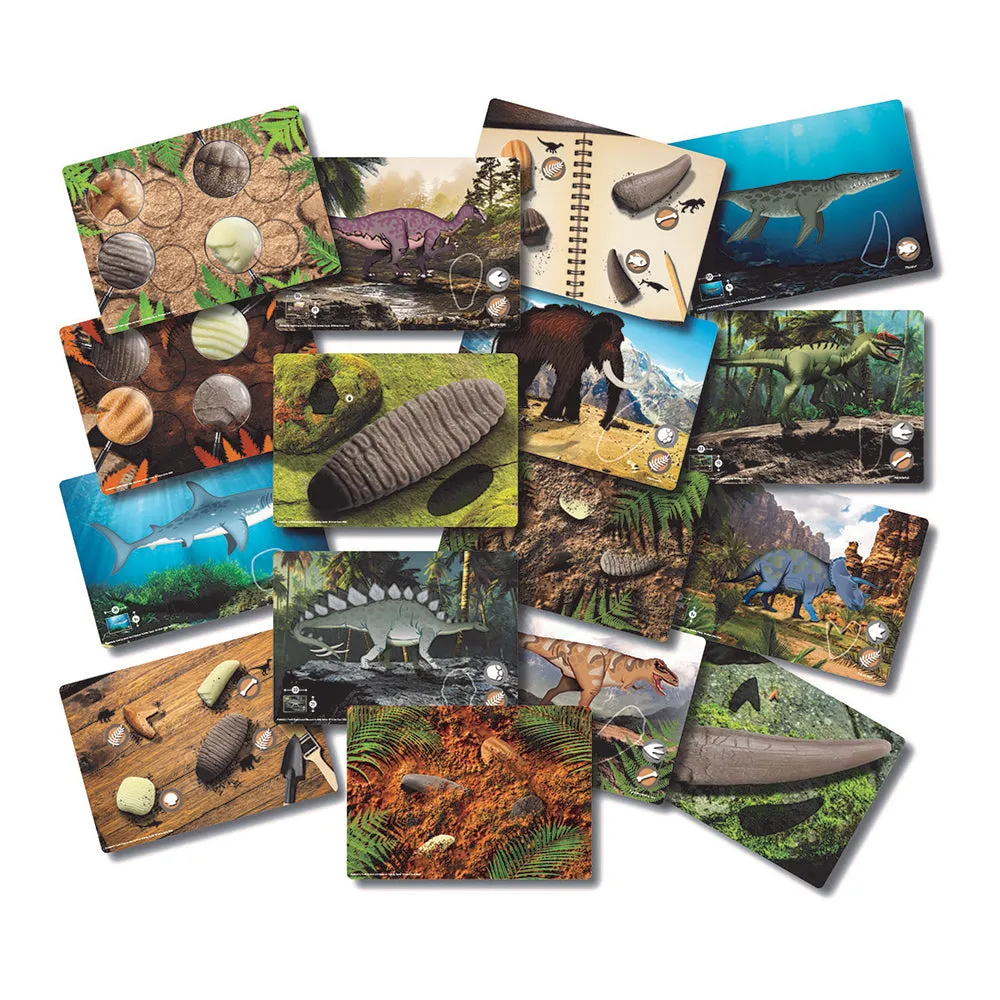 Yellow Door® Prehistoric Teeth Explore & Discover Cards