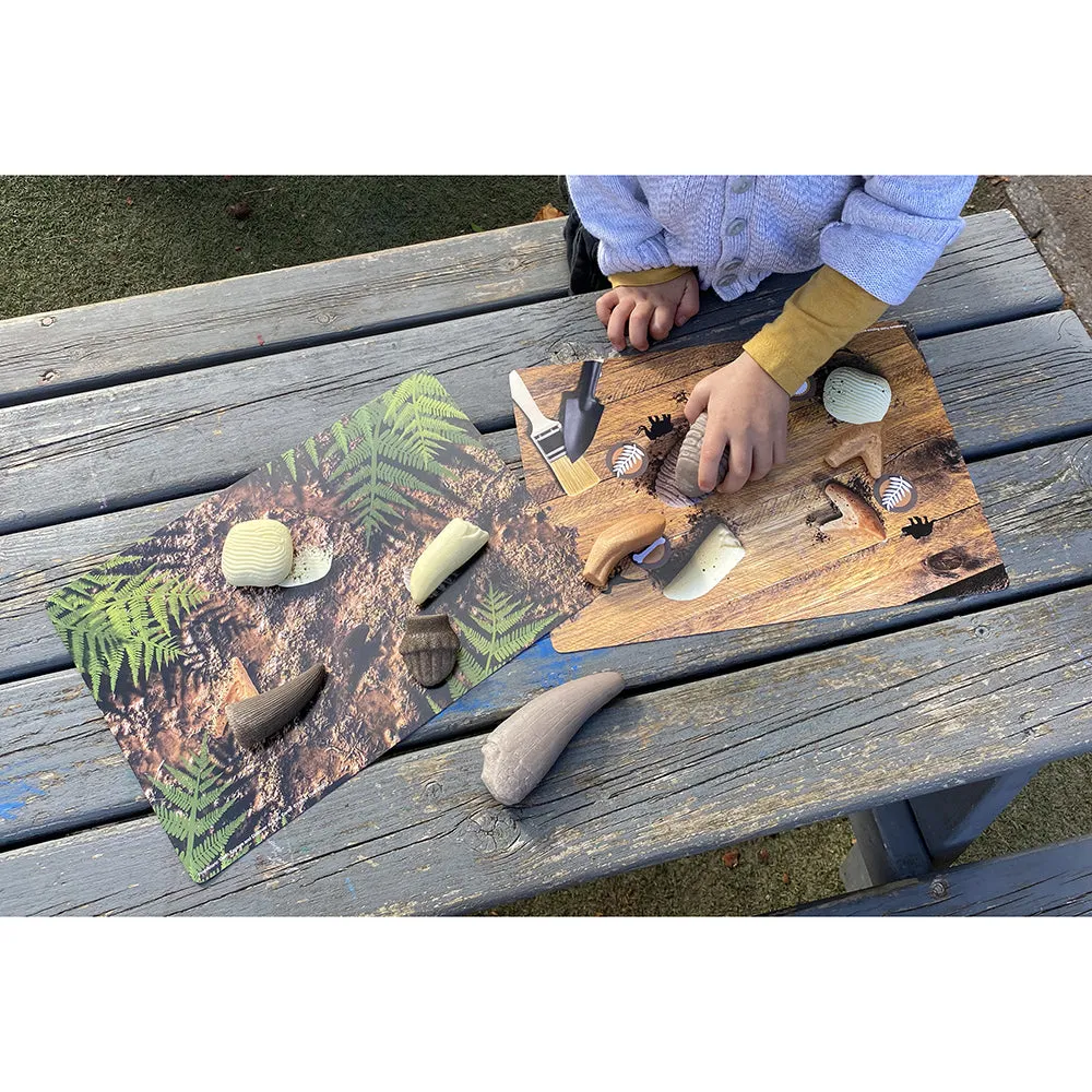 Yellow Door® Prehistoric Teeth Explore & Discover Cards