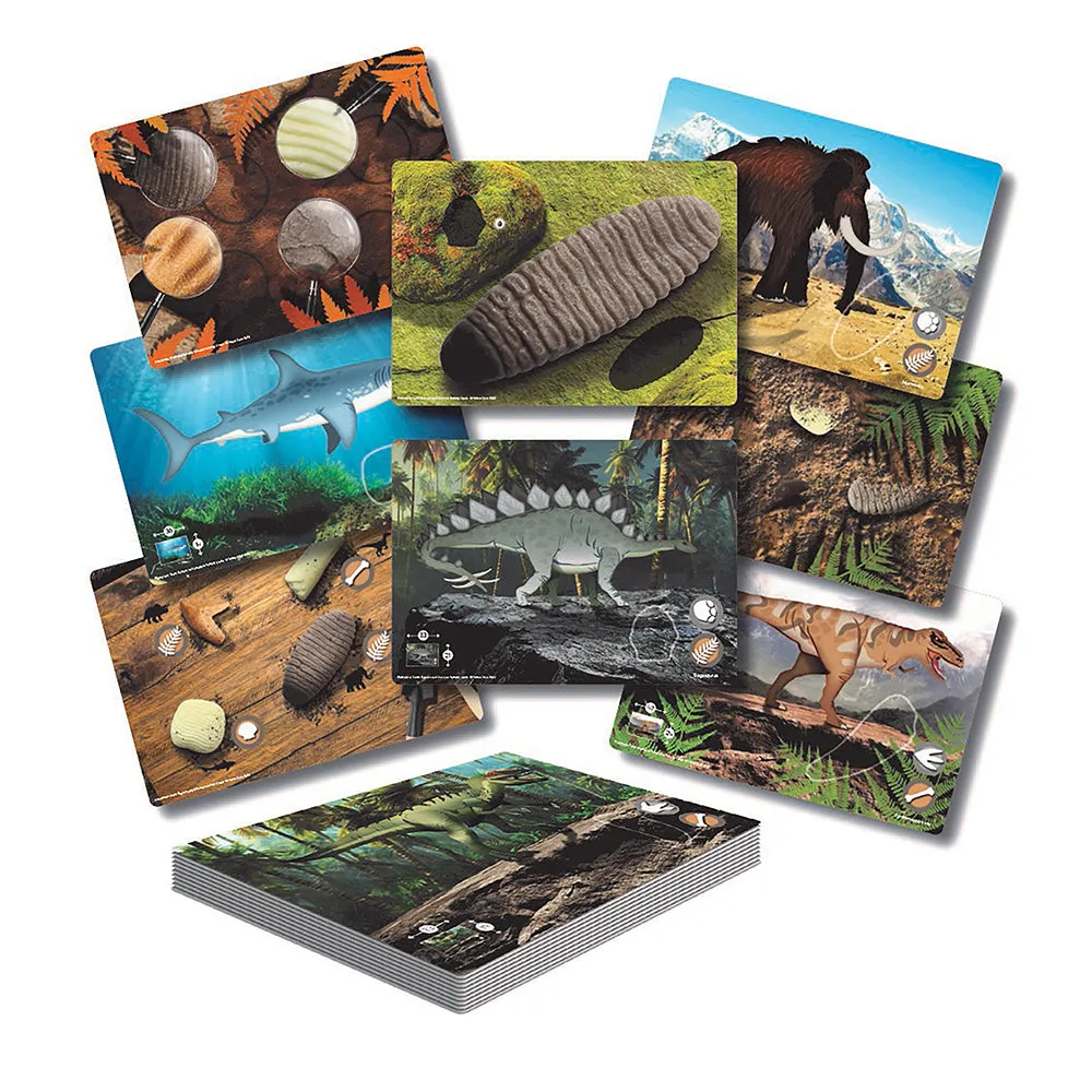 Yellow Door® Prehistoric Teeth Explore & Discover Cards
