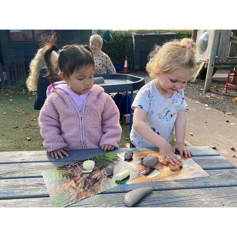 Yellow Door® Prehistoric Teeth Explore & Discover Cards